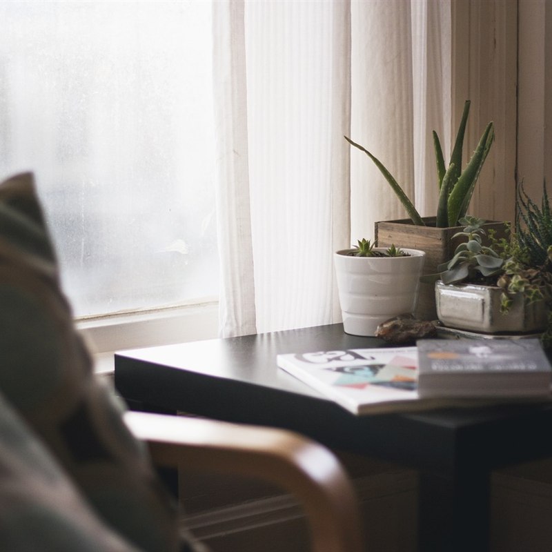 Desk Plant Combo of 2 with Pots
