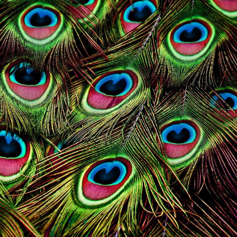 Wooden Peacock Showpiece